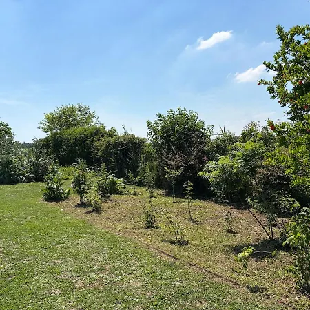 Venetian Rural Cittanova (Veneto)