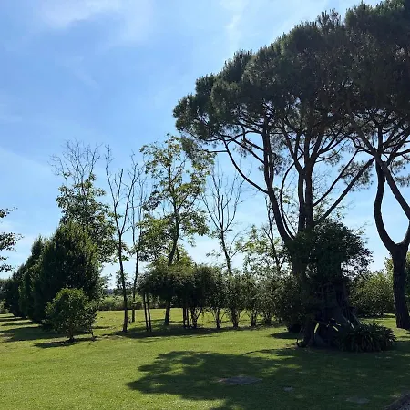 Venetian Rural Apartment Cittanova (Veneto)
